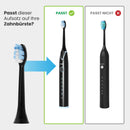 Denta-M Ersatz Aufsteckbürsten (Erste Generation)